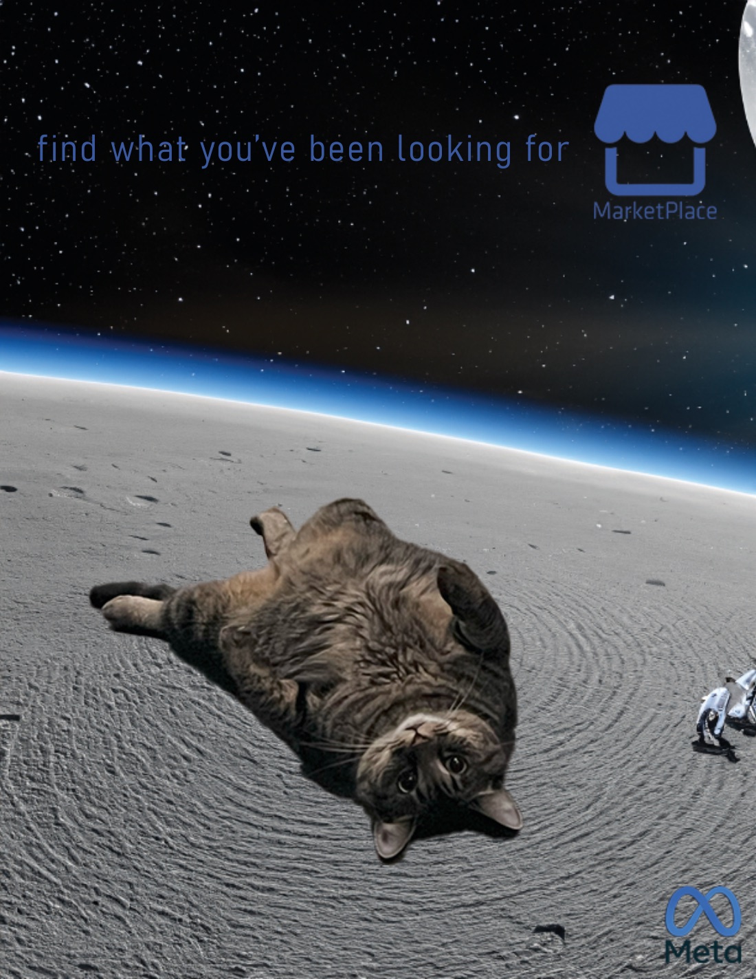 Marketplace ad concept with a cat on a lunar surface